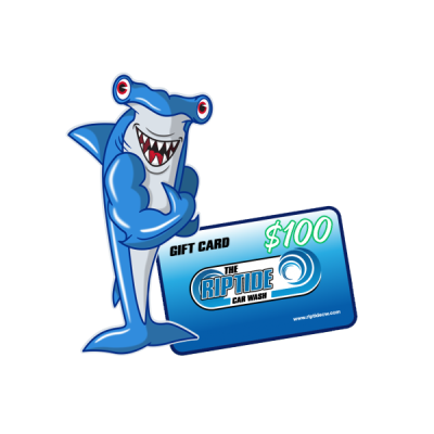 Hammerhead Shark holding $100 Gift Card Now on Sale